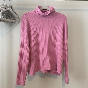 Madewell Rose Ribbed Turtleneck Sweater